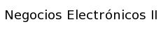 Negocios Electrónicos II