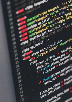 Programación Web